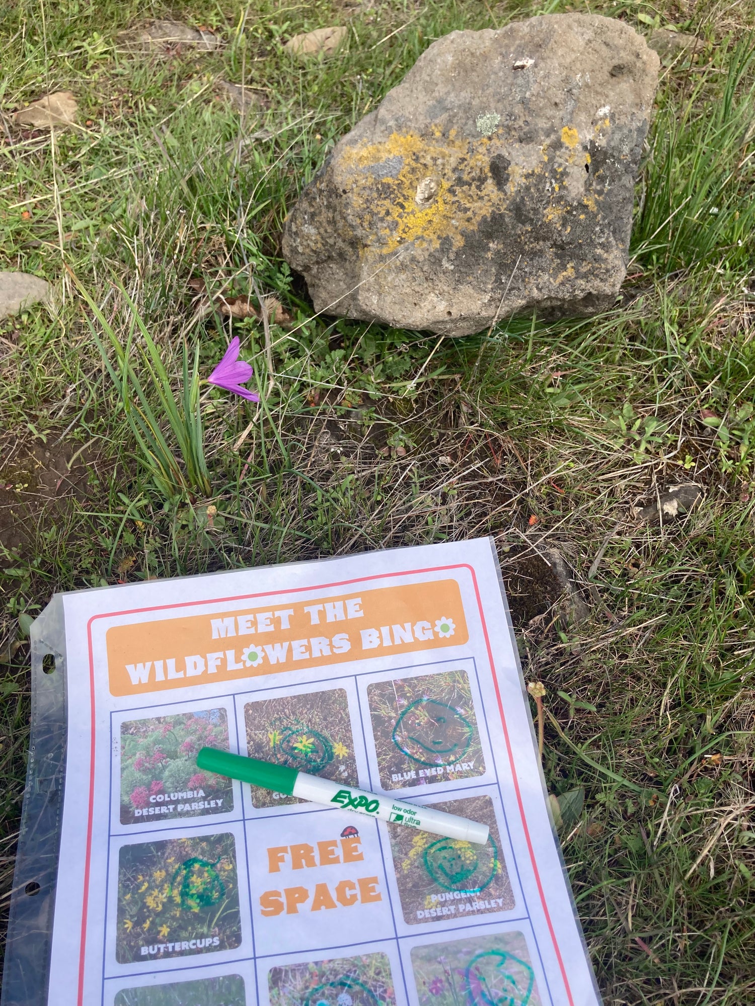Resources + Information